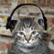 ������������ WMmail.ru #277582 wyrik777